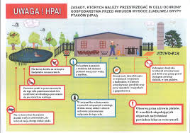 Zawsze aktualne wiadomości z kraju i ze świata. Ptasia Grypa Aktualnosci Gmina I Miasto Proszowice