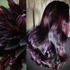Pin On Roots
