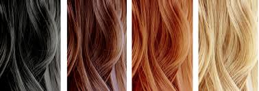 Hair Colors Bleach Color Haircolour Examples Fascinating