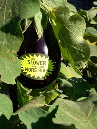 Organic gardening doesn't mean you have to share your apples with the worms, but you will probably have less than pristine looking plants and produce. Stickers For The Organic Gardener Evil Mad Scientist Laboratories