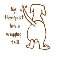 For at the hour of death a person becomes a shining movie star, its everyones moment of glory and its when as in choral chanting you hear the whooshing shrieks. Quotes About Wag The Dog 43 Quotes