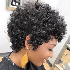 Fishtail Braid Hairstyles For African Americans In 2020 Natural Hair Styles Curly Hair Styles Naturally Short Natural Haircuts
