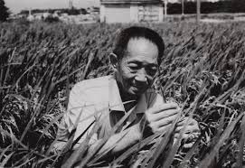 Search for text in self post contents. L8bvrdj1f6 W3m