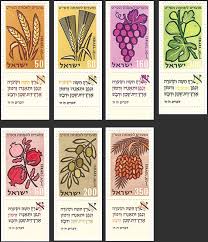 Seven Species Wikipedia In 2020 Postage Stamp Design Jewish Crafts Stamp