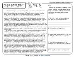 Reading Comprehension Worksheets 7th Grade In 2020 7th Grade Reading Comprehension Worksheets Reading Comprehension Worksheets