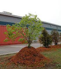 A farmer owned cooperative since 1923. Southern Ky Mulch Inc 1341 Memphis Junction Rd Bowling Green Ky 2021