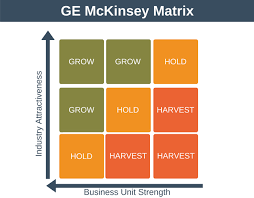 Ge Mckinsey Matrix Strategy Portfolio Training From Epm
