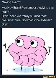 Pin By A O On Funny School Memes School Humor Relatable