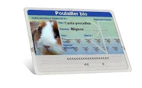 Epingle Sur Symbole