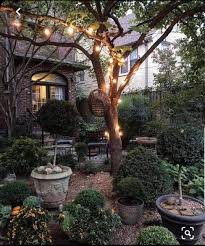 Garten Baum Und Aussenbeleuchtung Hinterhofideen Garten Design Vorgarten