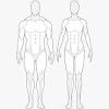 For a human in anatomical position, this pair of terms is equivalent to anterior and posterior. 1