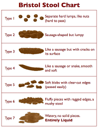 Bristol Stool Chart Faecal Continence Foundation Of