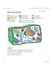 The answer key to the cell coloring worksheet is available at teachers pay teachers. Ase Sc 1 Animal Plant Cell Coloring Pdf Animal Cell Coloring I Directions Color Each Part Of The Cell Its Designated Color Cell Membrane Light Course Hero