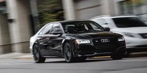 Image result for Argus Brown 2018 S8