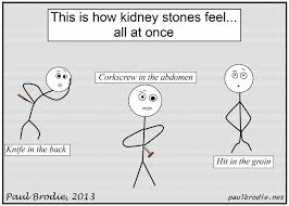 Funny Quotes About Kidney Stones Quotesgram