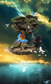 Starting off, premiere pro has a few performance improvements as well as the new speech to text feature. 50 Photoshop Pro Ideas Photoshop Photoshop Tutorial Photoshop Photography