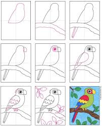 How To Draw A Parrot Art Projects For Kids My top 3 courses from other skillshare teachers: to draw a parrot art projects for kids