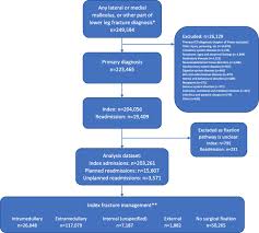 Posterior malleolus fracture component  9 , 10 , 11 . Exploring Trends In Admissions And Treatment For Ankle Fractures A Longitudinal Cohort Study Of Routinely Collected Hospital Data In England Bmc Health Services Research Full Text