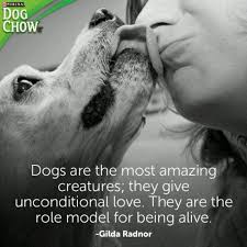 Your browser does not support html5 video. Unconditional Love Quotes On Animals Quotesgram