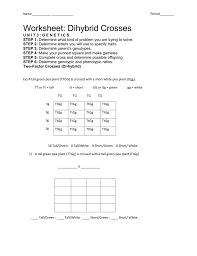 Ratings 50% (6) 3 out of 6 people found this document helpful. Worksheet Dihybrid Crosses