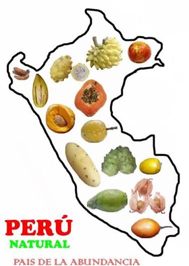 PLANTAS NATIVAS Y EXÓTICAS DEL PERÚ Quiz