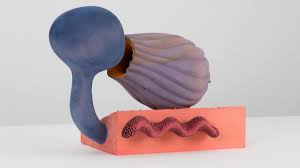 At Marc Foxx Gallery, the wild and whimsical world of Matthew Ronay