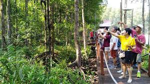 Hutan paya bakau tumbuh pada… continue reading. Pusat Eko Matang Mangrove Forest Reserve Kuala Sepetang Facebook