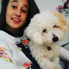 Stream vicki Bode music