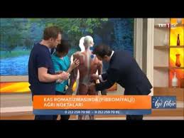 Diğer önemli fibromiyalji belirtileri ise uyku problemleri, yorgunluk ve anksiyeteyi içerir. Fibromiyalji Nedir Tedavisi Nasildir Iyi Fikir Trt1 Youtube