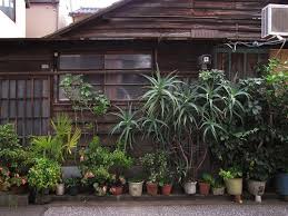You Know I Had To Do It To Em Street Location Tokyo S Wabi Sabi Potted Gardens Tokyo Gardens Potted Garden Container Inspiration Garden Pots Urban Garden Japanese Garden