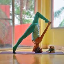 Download Yoga Time App A Yoga Studio In Your Pocket Yoga Videos App Yoga Asanas Yoga Life Yoga Pilates