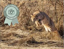 Way to go Dan Prosser! You made us proud!