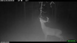 We did not find results for: Hunting Advice And Tips For Serious Deer And Turkey Hunters
