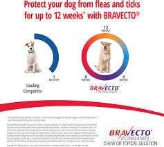 Bravecto Chews For Dogs 9 9 22 Lbs 1 Treatment Orange Box