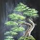 Beautiful Bonsai Acrylic on Canvas