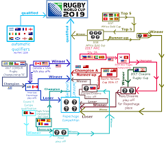 File Rugby World Cup 2019 Qualification Illustrated Png