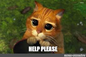 Check spelling or type a new query. Help Me Please Meme