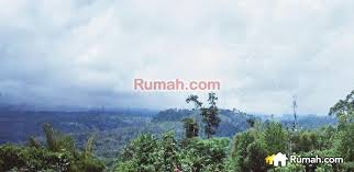 Maybe you would like to learn more about one of these? Kampoeng Kurma Cipanas Jalan Raya Muncang Cipanas Lebak Banten Tanah Dijual Oleh Yekti S Rp 99 Jt 13853861