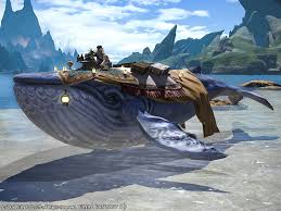 As soon as you beat the 1st main part of arr you can fly, but for each expansion after the base game you need to progressively grab the aether currents through . Mount Indigo Whale Account Wide Final Fantasy Xiv Online Store
