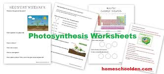Polish your personal project or design with these molecular geometry transparent png images, make it even more personalized and more attractive. Free Photosynthesis Worksheets