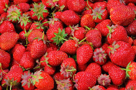 Image result for FRUIT