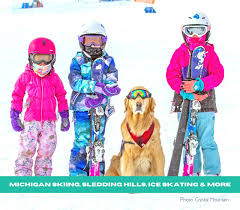 Northern michigan animal rescue network's adoption process. Michigan Winter Best Places To Sled Ski Skate Snowshoe Snowmobile Experience Sled Dogs Grkids Com