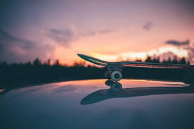 A collection of the top 68 aesthetic skateboard wallpapers and backgrounds available for download for free. 100 Skate Pictures Download Free Images On Unsplash