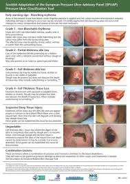 Scottish Adapted Epuap Pressure Ulcer Grading Tool 2015 Jpg 1074 1515 Home Health Nurse Wound Care Nursing Critical Care Nursing