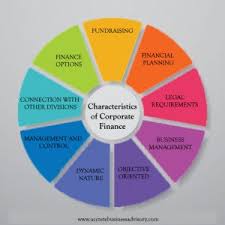 Explore the full range of our corporate finance and strategy consulting offering: Corporate Finance Principles Services Accretebusinessadvisory