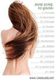Hair Growth Calculator Tool Hair Styles Long Hair Styles Hair