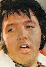 Elvis : That's the Way It Is (1970): the show