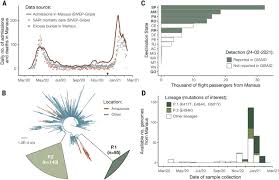 Maybe you would like to learn more about one of these? Genomics And Epidemiology Of The P 1 Sars Cov 2 Lineage In Manaus Brazil Science