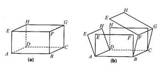 Soal jaring jaring kubus dan balok kelas 5 sd pdf. Soal Jaring Jaring Kubus Dan Balok Kelas 5 Sd Info Akurat