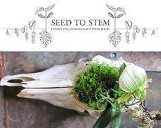 Worcester, ma, 4/4/73 is an album by the country rock band the new riders of the purple sage. 10 Worcester Ideas Worcester Worcester Massachusetts Worcester County